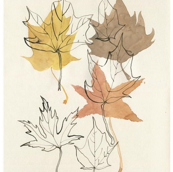 Meet your Posher, Anadel - Picture 2 of 2